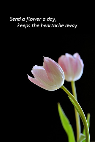 http://kizukesahara.files.wordpress.com/2009/07/send_a_flower_a_day_keeps_the_heartache_away_lovely_rose_sunflowers_lily_.jpg